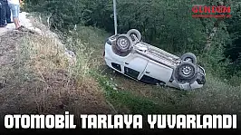 Otomobil Tarlaya Yuvarlandı