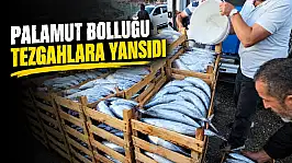Palamut Bolluğu Tezgahlara Yansıdı