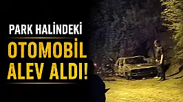 Park Halindeki Otomobil Alev Aldı