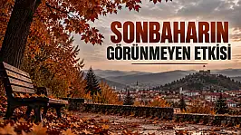 Sonbaharın Görünmeyen Etkisi