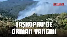 Taşköprü'de Orman Yangını