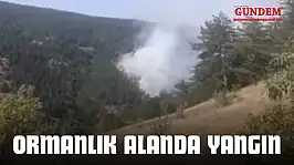 Taşköprü'de Orman Yangını