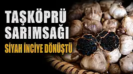 Taşköprü Sarımsağı Siyah İnciye Dönüştü