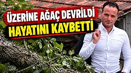 Üzerine Ağaç Devrildi, Hayatını Kaybetti