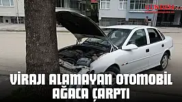Virajı Alamayan Otomobil Ağaca Çarptı