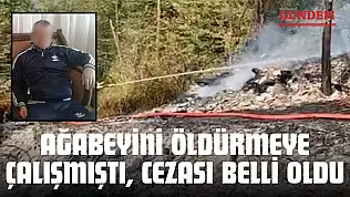 Ağabeyini Öldürmeye Çalışmıştı, Cezası Belli Oldu