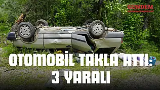 Ağaca Çarpan Otomobil Takla Attı: 3 Yaralı