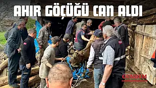 Ahır Göçüğü Can Aldı