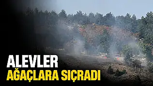 Alevler Ağaçlara Sıçradı