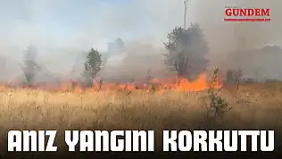 Anız Yangını Korkuttu