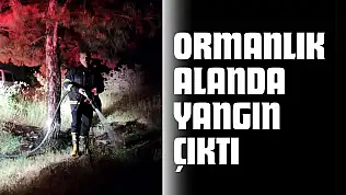 Candaroğulları Mahallesi'ndeki Ormanlık Alanda Yangın Çıktı
