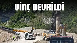 Çatalzeytin'de Vinç Devrildi