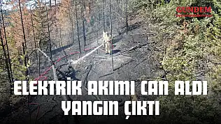 Elektrik Akımı Can Aldı, Orman Alevlere Teslim Oldu