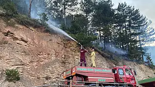Evde Çıkan Yangın Ormana Sıçradı