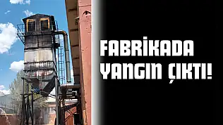 Fabrikada Yangın Çıktı!