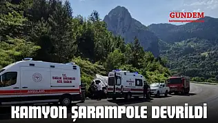 Kamyon Şarampole Devrildi