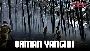 Kastamonu'da Orman Yangını