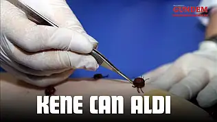 Kene Can Aldı