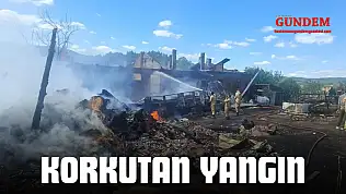Korkutan Yangın