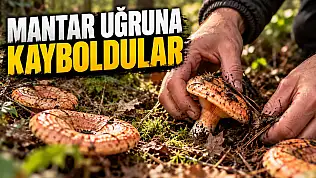Mantar Uğruna Kayboldular