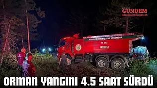 Orman Yangını 4.5 Saat Sürdü