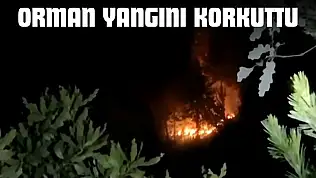 Orman Yangını Korkuttu