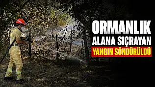 Ormanlık Alana Sıçrayan Yangın Söndürüldü