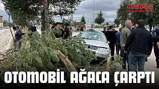 Otomobil Ağaca Çarptı