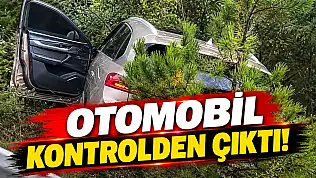 Otomobil Kontrolden Çıktı!