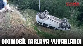 Otomobil Tarlaya Yuvarlandı
