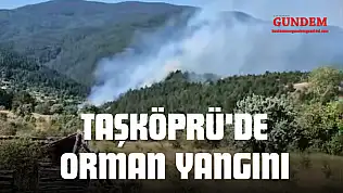 Taşköprü'de Orman Yangını