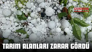 Taşköprü'de Tarım Alanları Zarar Gördü
