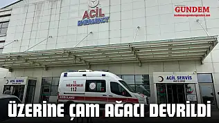 Üzerine Çam Ağacı Devrildi