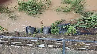 Dereye Karışan Kimyasal Atık Karadeniz'e Aktı