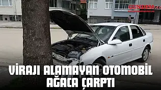 Virajı Alamayan Otomobil Ağaca Çarptı