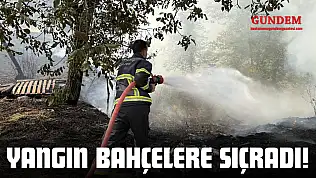 Yangın Bahçelere Sıçradı!