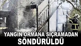 Yangın Ormana Sıçramadan Söndürüldü