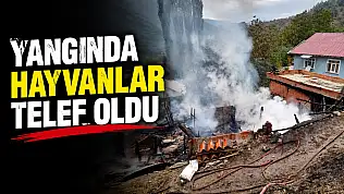 Yangında Hayvanlar Telef Oldu