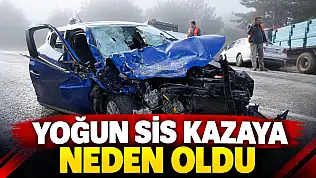 Yoğun Sis Kazaya Neden Oldu