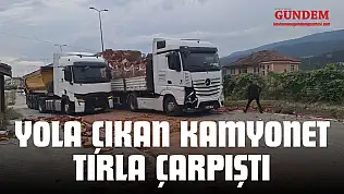 Yola Çıkan Kamyonet Tırla Çarpıştı