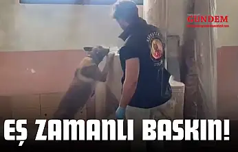 19 Adrese Eş Zamanlı Baskın!