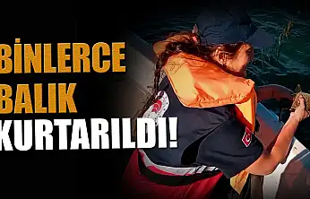 Binlerce Balık Kurtarıldı