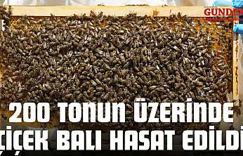 200 Tonun Üzerinde Çiçek Balı Hasat Edildi
