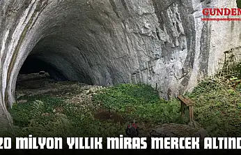 220 Milyon Yıllık Miras Mercek Altında
