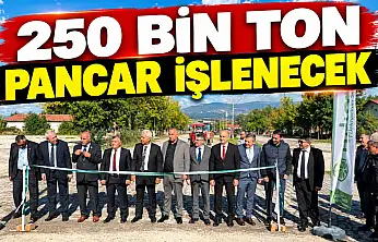 250 Bin Ton Pancar İşlenecek