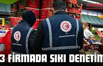 93 Firmada Sıkı Denetim!