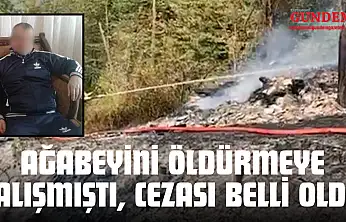 Ağabeyini Öldürmeye Çalışmıştı, Cezası Belli Oldu