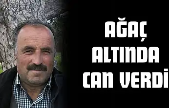 Ağaç Altında Can Verdi