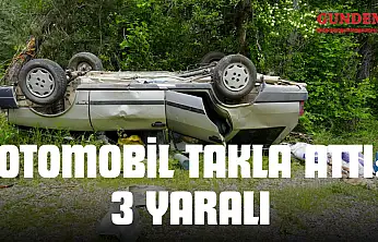 Ağaca Çarpan Otomobil Takla Attı: 3 Yaralı