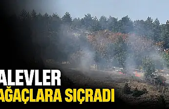 Alevler Ağaçlara Sıçradı